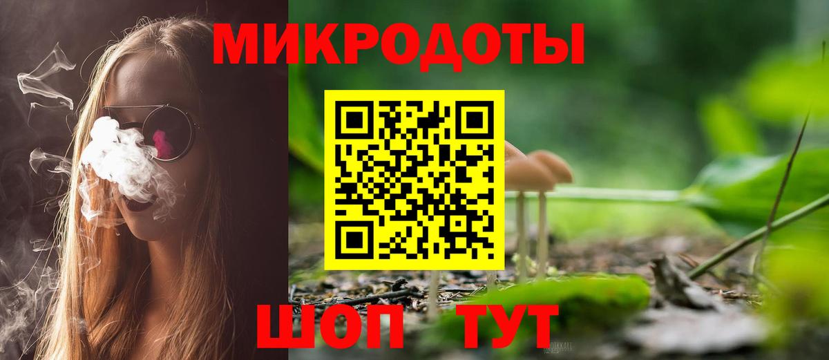 Псилоцибиновые грибы прущие грибы Губаха