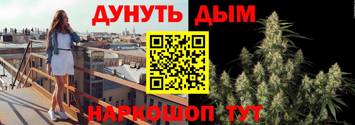 Канабис планчик Губаха